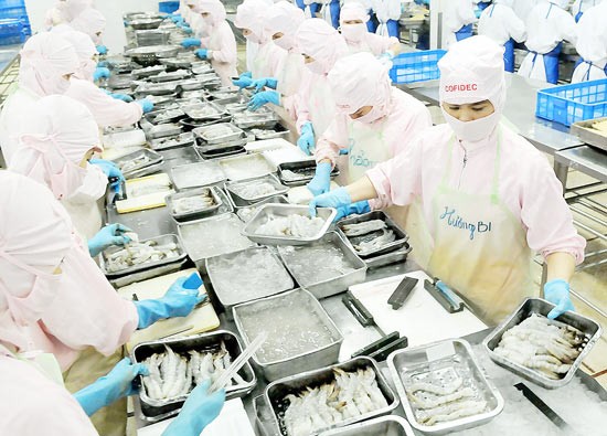 A shrimp processing plant (Photo: SGGP) A shrimp processing plant (Photo: SGGP)